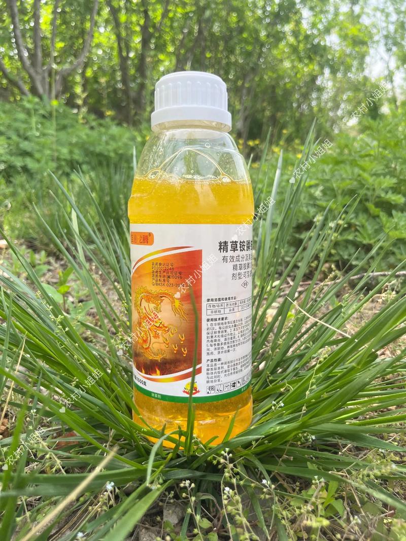高唐县农资门市部：开启现代农业新篇章