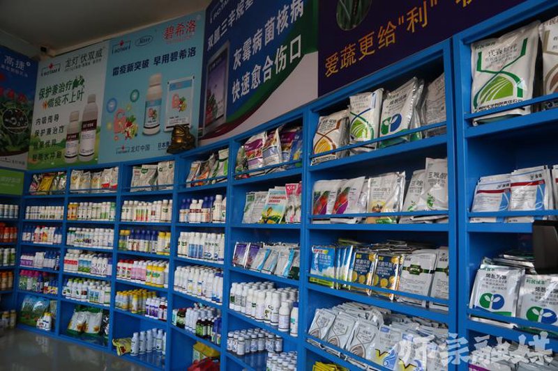 高唐县农资门市部：耕种的智慧之窗